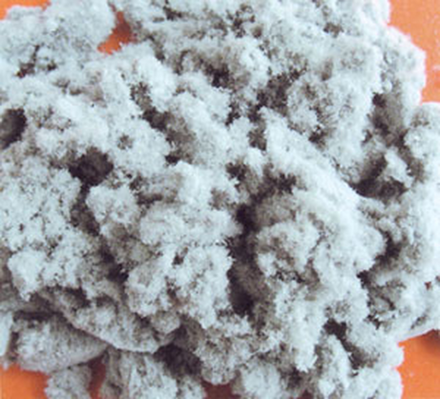 木質(zhì)素纖維 一種值得重新認(rèn)識(shí)的自然給予